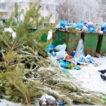 a pile of pine branches next to a row of dumpsters in a snowy parking lot